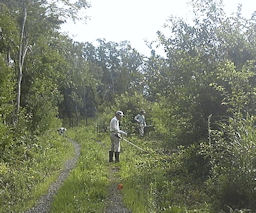 f0161535_13454623.jpg