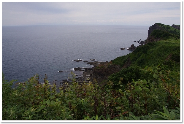 f0218836_116583.jpg