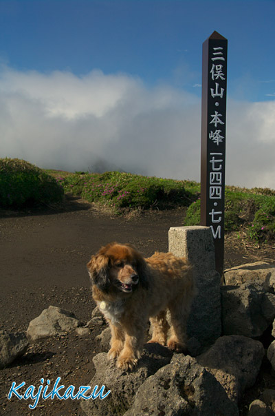 最後のミヤマ詣では三俣山2_a0166940_21411098.jpg