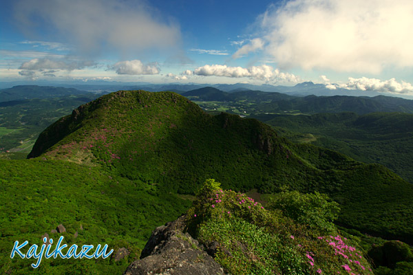 a0166940_2395344.jpg