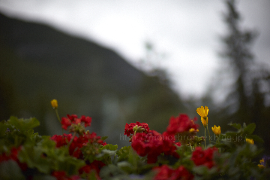 Nature in Canada vol.9  Banffsprings Hotel vol.5 Sunset with Leica M9 0.95_c0219256_8405468.jpg