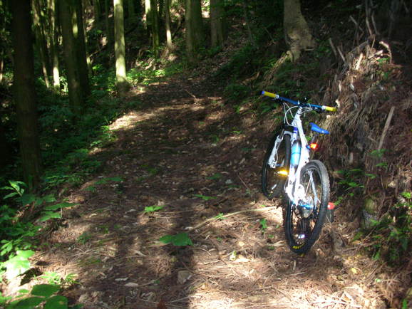 20歳の若者と自転車_f0196856_848869.jpg