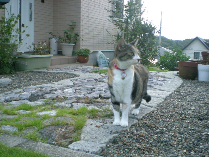 f0060461_1582440.jpg