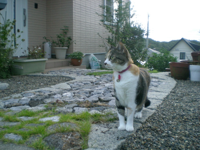 f0060461_1593714.jpg