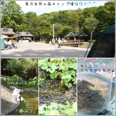 泉沢自然の森キャンプ場 Plumgarden 泉沢自然の森キャンプ場 Plumgarden
