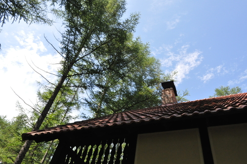 b0068572_09295.jpg