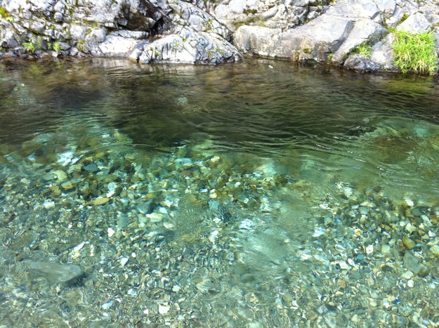 b0130273_02033.jpg