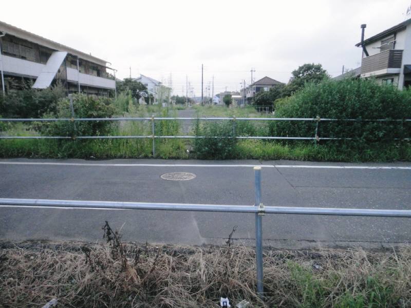 f0059673_6133918.jpg