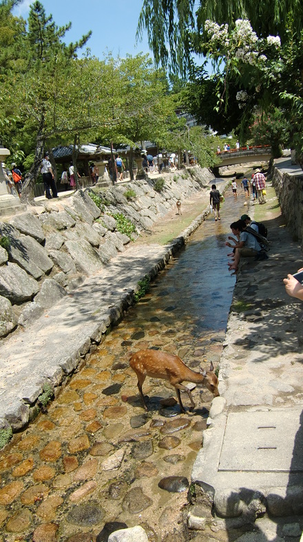 d0170475_21165052.jpg