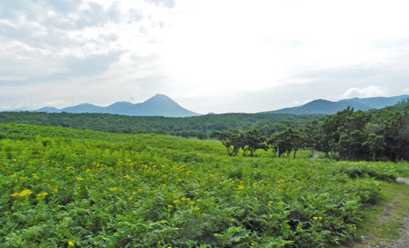 f0083977_1636758.jpg