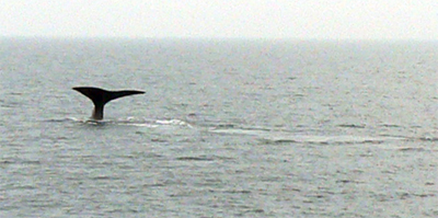f0083977_16403515.jpg