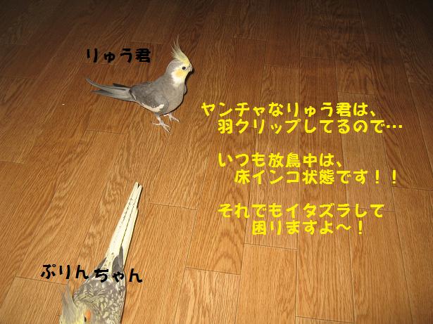 e0027078_12511362.jpg