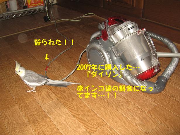 e0027078_12512842.jpg