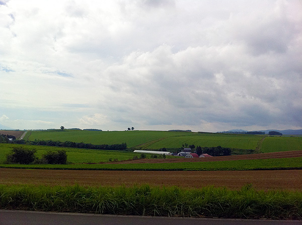 北海道ツーリング2010夏：10日目_e0186780_13505785.jpg