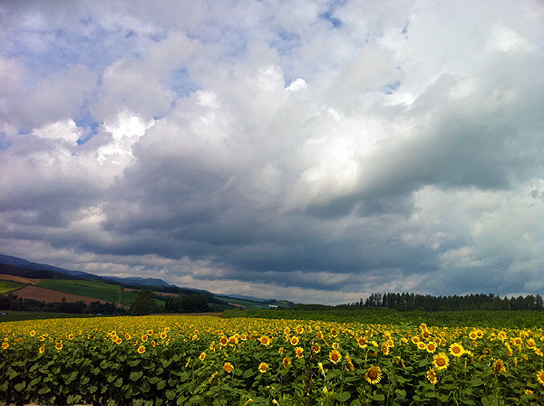 北海道ツーリング2010夏：10日目_e0186780_1351748.jpg