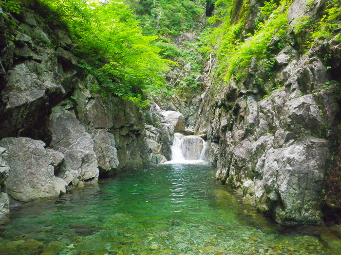 北アルプス 金木戸川 小倉谷 ～ 2011.8.13-17 （前編）_f0170180_1434877.jpg