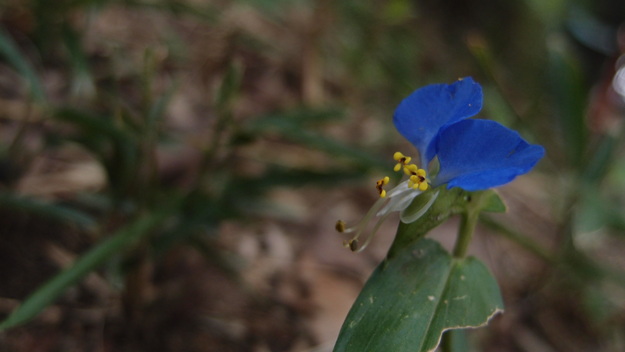 e0024081_1413159.jpg