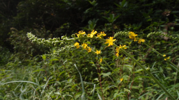 e0024081_14144694.jpg