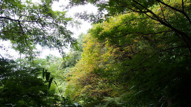 e0024081_1414988.jpg