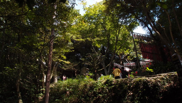 e0024081_1417367.jpg