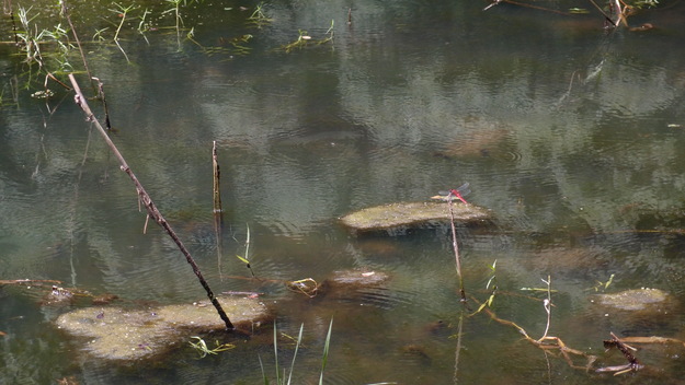 e0024081_14194659.jpg