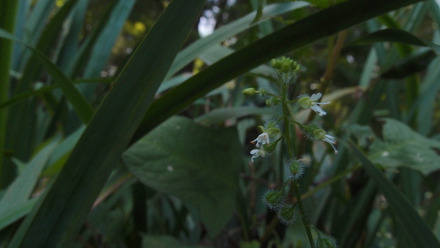 e0024081_1449829.jpg