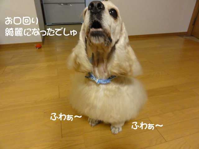 f0218182_1648125.jpg