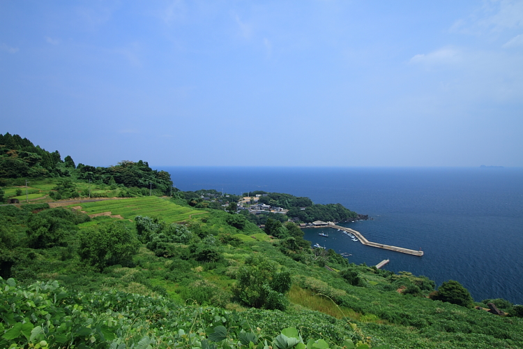 夏の伊根へ_e0051888_23512552.jpg