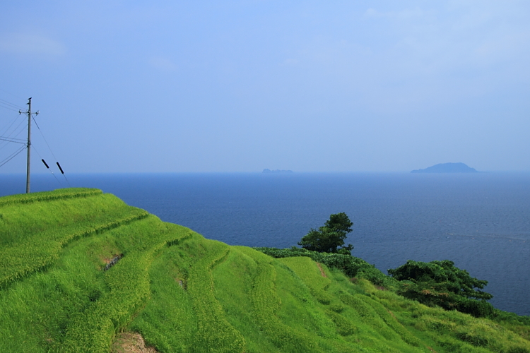 夏の伊根へ_e0051888_23513819.jpg
