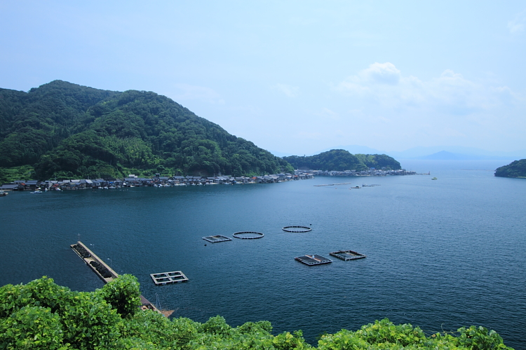 夏の伊根へ_e0051888_23515554.jpg