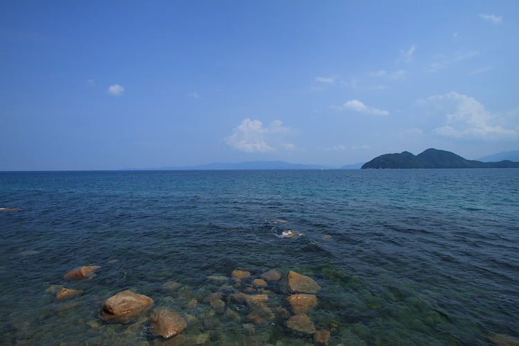 夏の伊根へ_e0051888_2354235.jpg
