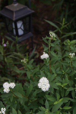 a0123003_14583136.jpg