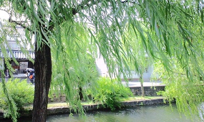 e0071811_21253190.jpg