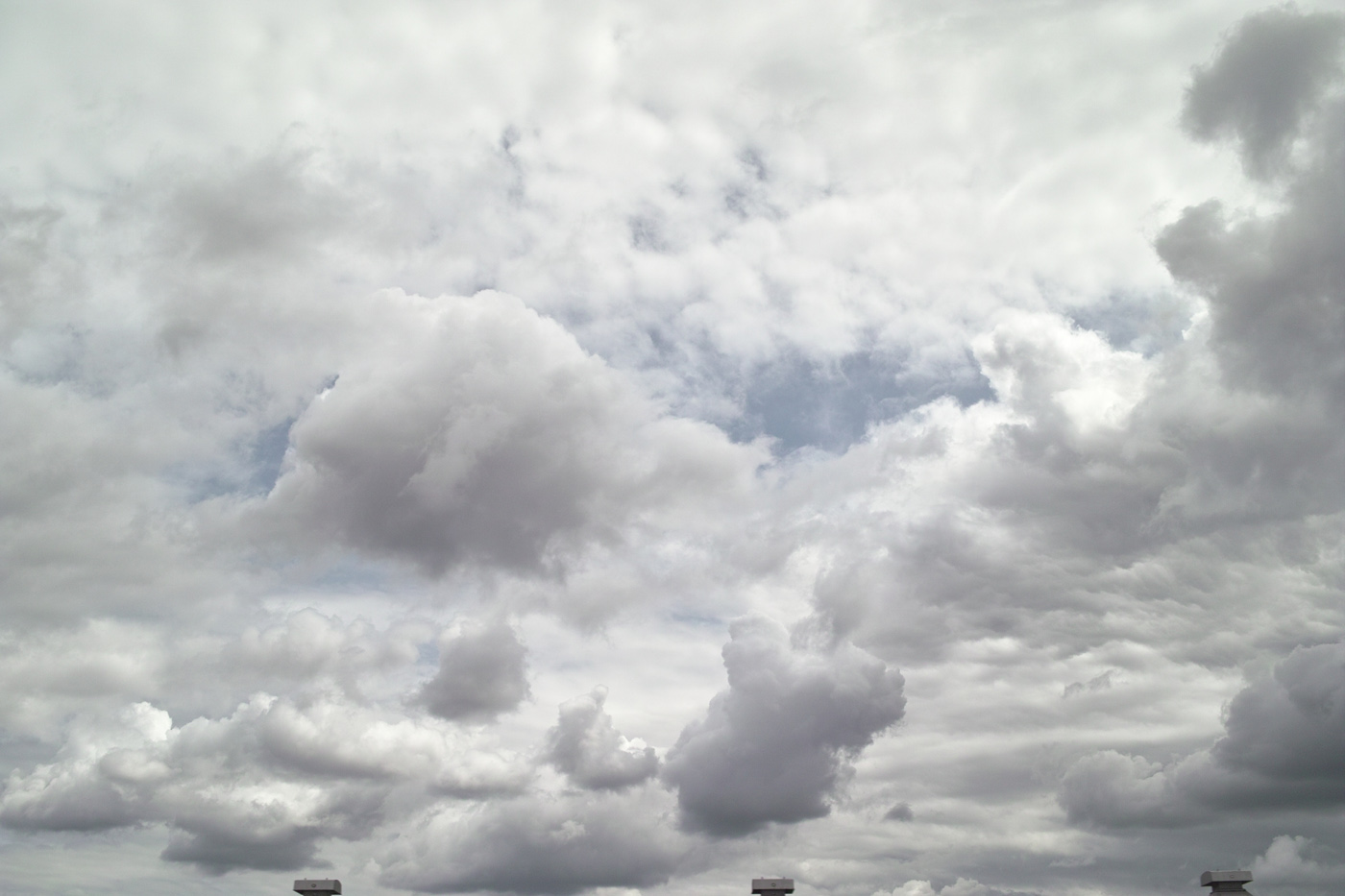 c0213117_331317.jpg
