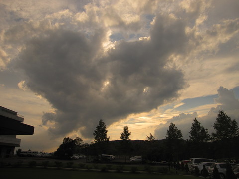 d0197620_22315292.jpg