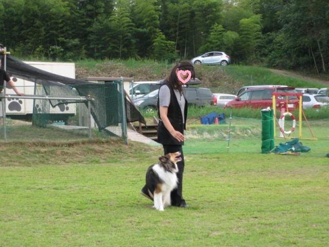 e0190220_10122096.jpg