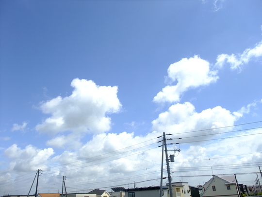 c0227522_10263012.jpg