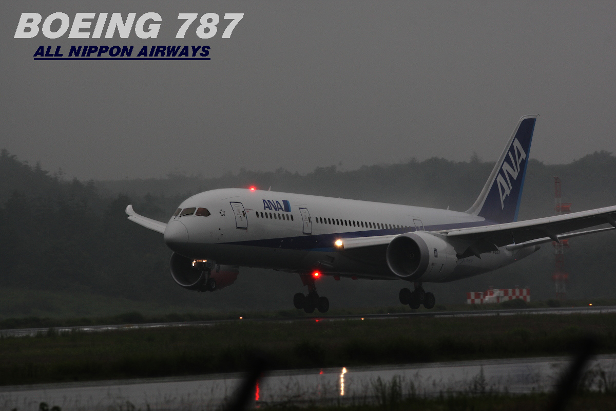 BOEING 787_d0120622_21265728.jpg