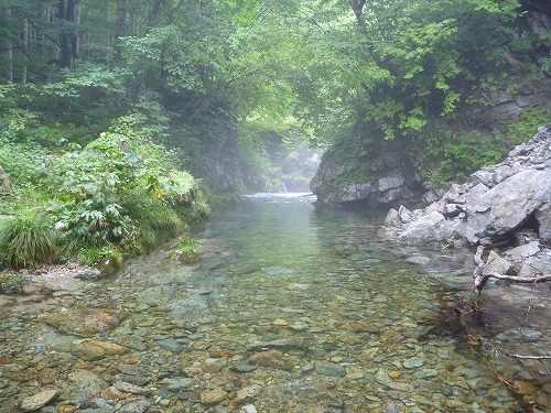 d0227723_22193728.jpg