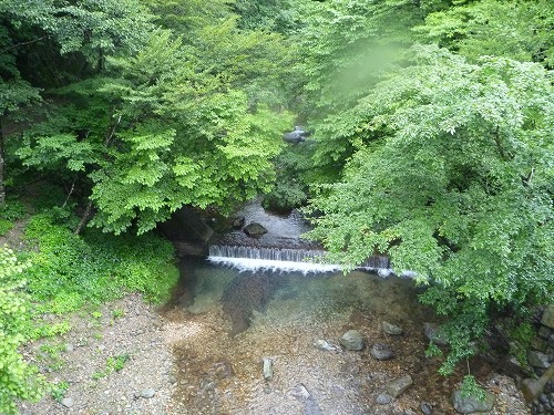 d0227723_2291212.jpg