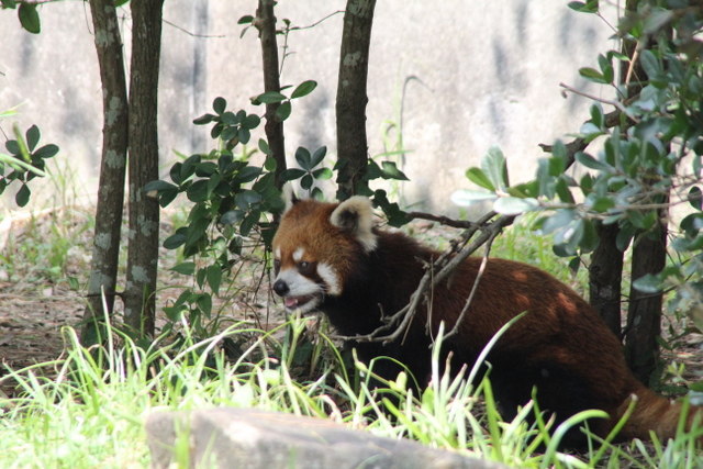 f0221023_11024.jpg