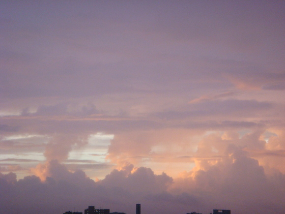 f0109825_1255625.jpg