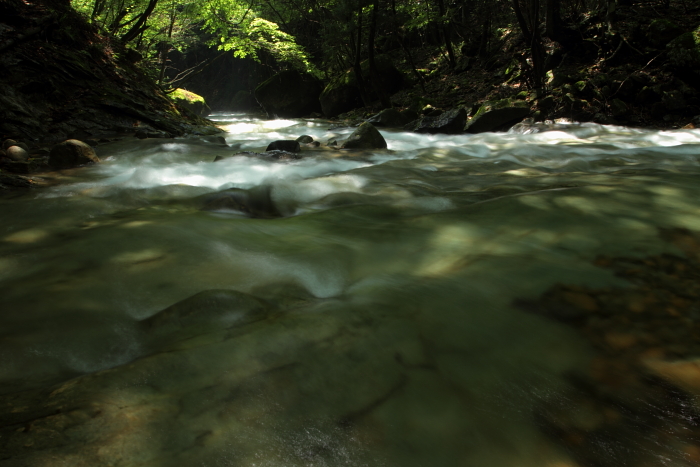 c0215627_817963.jpg