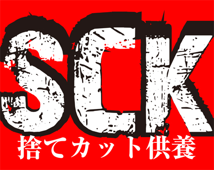 SCK 2011 SUMMER : 君はバイクに乗るだろう SCK 2011 SUMMER : 君はバイクに乗るだろう