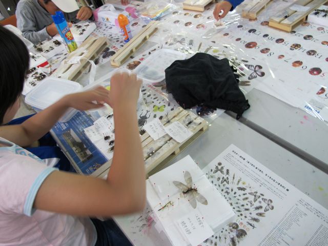 f0177529_14351169.jpg