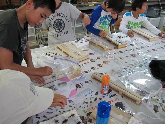 f0177529_1435391.jpg