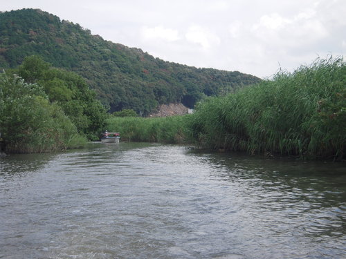 b0025633_21154965.jpg
