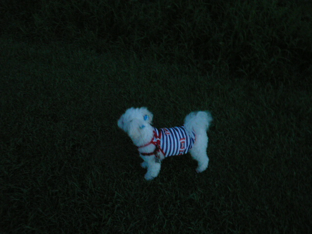 e0191034_08731.jpg