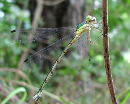 c0204740_20244318.jpg