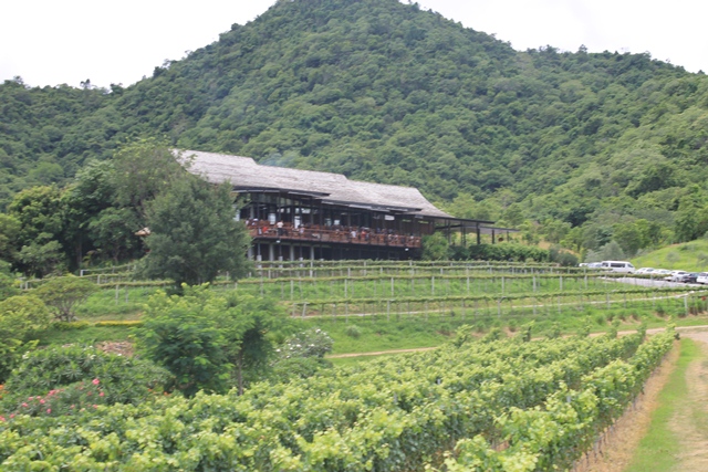 HUA HIN HILLS VINEYARD _d0222641_7561672.jpg